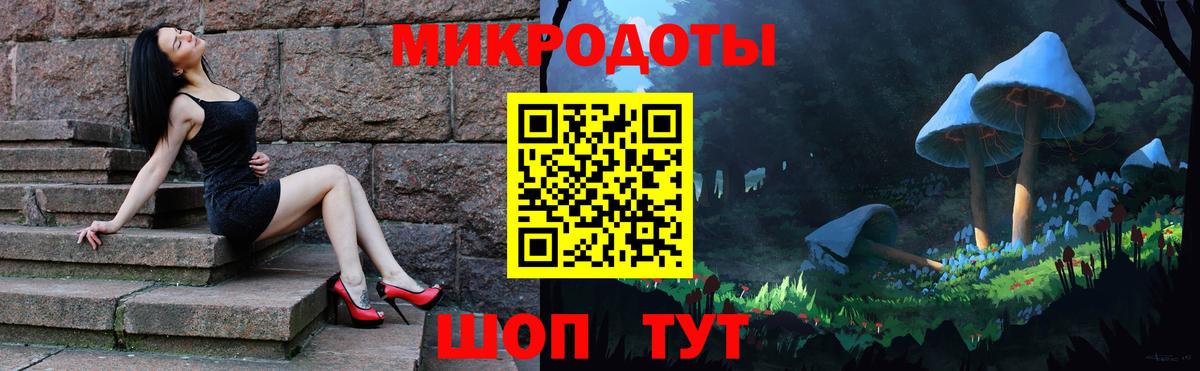 Галлюциногенные грибы Psilocybine cubensis Псков